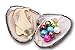 10 PC Freshwater Cultured Pearl Oyster Oval Pearls oysters with pearls inside Ten Colors