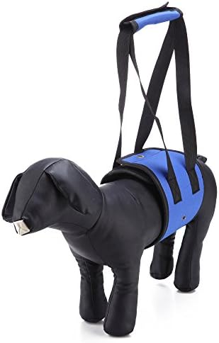 LXLP Dog Lift Harness Support Sling Helps Dogs With Weak Front or Rear Legs Stand Up, Walk, Get Into Cars, Climb Stairs. Best Alternative to Dog Wheelchair (Mdeium, Blue)