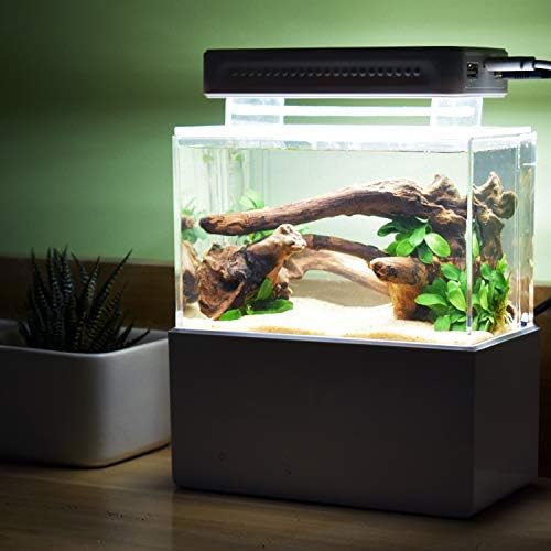 Cunzo Mini Desktop Aquarium Fish & Shrimp Tank with Water Filtration LED & Pump