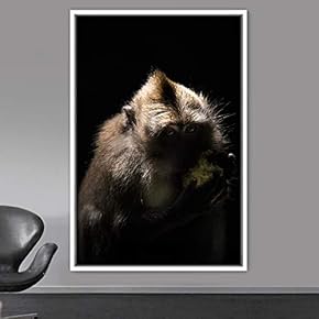 signwin Framed Canvas Wall Art Monkey Animals Expressive...