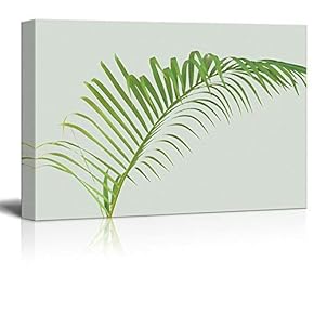 Canvas Wall Art - Watercolor Style Plant with Thin Leaves - Giclee Print Gallery Wrap Modern Home Art Ready to Hang - 12x18 inches