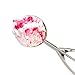 Jenaluca Large Scoop - Ice Cream Scoop - Cookie Dough and Cupcake Scoop - with Gift Bag - #24 3 tablespoon 1.5 ounce ice cream and baking scoop - 18/8 Stainless Steel