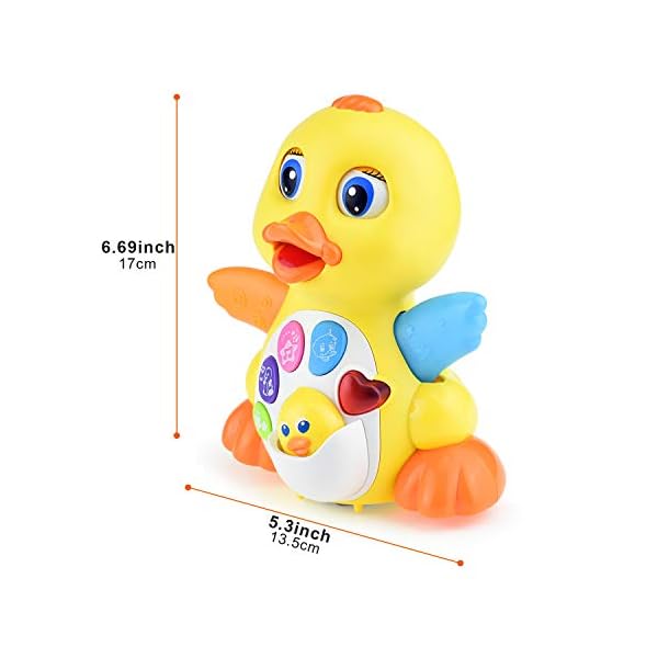 musical duck toy