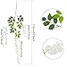 CEWOR 12pcs Artificial Wisteria Vine Ratta Hanging Garland Silk Flowers String for Wedding Party Home Decor(White)