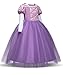 LENSEN Tech Princess Rapunzel Dress Cosplay Party Long Sleeve Costume (Purple, 3T)