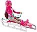 Mattel Barbie Sisters' Sledding Fun
