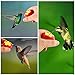 Handheld Hummingbird Feeders, Mini Hummingbird Feeders with Perches for Outdoors - Feed Right from Your Hand, with Suction Cup and Cleaning Brush (5 Pack)