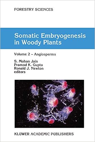 Somatic Embryogenesis In Woody Plants Volume 2 Angiosperms Forestry Sciences 44 46 Jain S Mohan Gupta Pramod P K Newton R J 9780792330707 Amazon Com Books