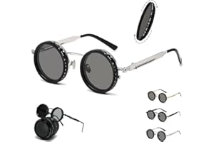 Adjustable Tint Rounded Polarized Lenses Retro Sunglasses, 9 Gears Steampunk with ND Filter Lenses for Men Women