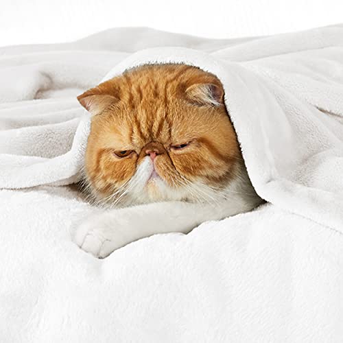Bedsure Fleece Blanket Queen Blanket White Bed Blanket Soft