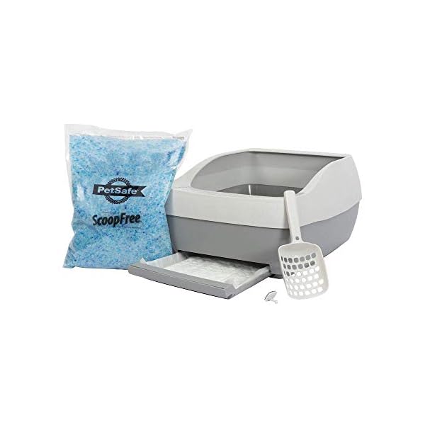 PetSafe Scoopfree Premium Blue - Lettiera per gatti con cristalli, confezione da 2