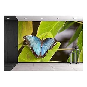 Butterfly on The Leaf - Removable Wall Mural | Self-Adhesive Large Wallpaper - 66x96 inches