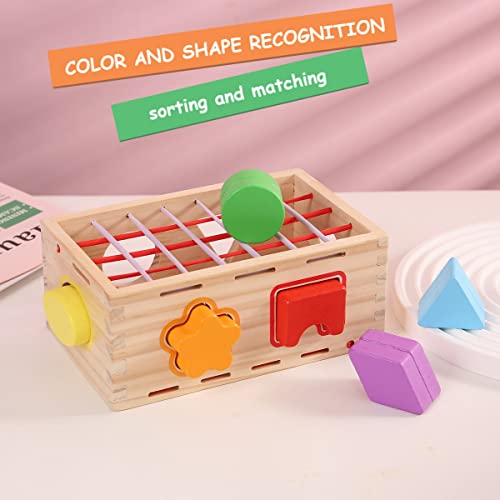 Wooden Shape Sorter Sensory Toys Baby Blocks Montessori Early Learning