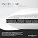 Restorology Genius Pillow (2-Pack) - Hotel Quality Plush Cooling Gel Fiber Filled Pillow with Sateen Gusset - Hypoallergenic - Queen