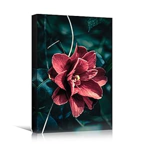 signwin Canvas Wall Art Red Petal Closeup III...