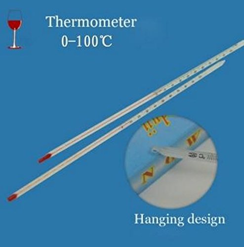 0-100 Degree Glass Thermometer Home Brew Laboratory Red Water Filled Thermometer by STCorps7