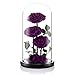 Preserved Real Rose Handmade Eternal Rose in Glass Doom Gifts for Her Valentine's Day Mother's Day Anniversary Birthday (3 Purple Rose)