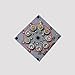 Adsled 9 LED Remote Control DMX 512 Crystal Magic Ball Effect Light Digital Disco Dj Stage Lighting US Plug