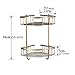 Rozin Dual-Tier Bathroom Kitchen Corner Shelf Shower Caddy Holder Antique Brass