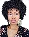 Kalyss Premium Synthetic Short Afro Kinky Curly Wigs for Black Women Realistic Black Curly Wigs Lightweight Soft Natural Curls Hair Wigs