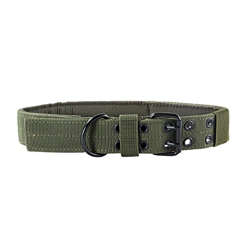 OneTigris Military Adjustable Dog Collar with Metal D Ring & Buckle 2 Sizes (L, OD Green)