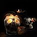3D White Gray Grey Black Himalayan Salt Lamp Lights, Tatoo Halloween Skull Carved Statue Lamp Night Light with Himalayan Gray White Salt Chunks, Dimmer Switch Control with 1 Salt Candle Holder
