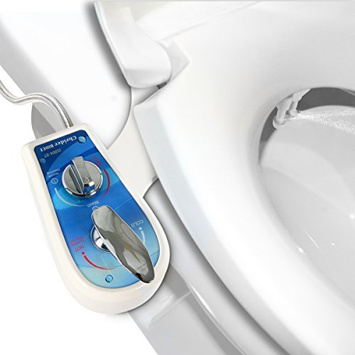 Chrider Bidet for Toilet Hot and Cold Water,Spray Toilet Seat Attachment, Self Cleaning Dual Nozzle Women Toilet Washer Bidet, Non Electric Bidet Sprayer Set