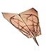 PowerUp Electric Paper Airplane Templates Kit