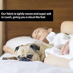 Visione White Queen Sheets, Brushed Microfiber