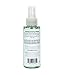 Fleshlight Fleshwash Anti-bacterial Toy Cleaner, 4 fl. oz.