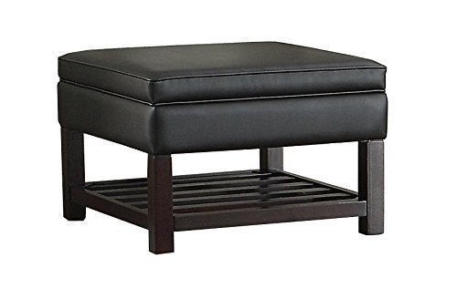 Poundex Bobkona Neon Square Storage Ottoman, Black