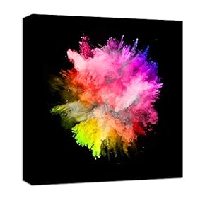 signwin Canvas Wall Art Colorful Powder Canvas Prints...