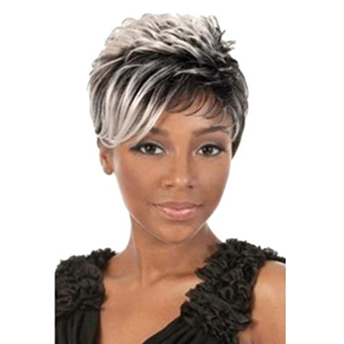 Amaping Natural Light Gray Straight Short Hair Wigs for Black Women Full Wigs Synthetic Hair (Natural Curly)
