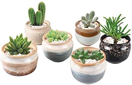 Amazon Koram 3 5インチセラミック多肉植物プランターポット サボテン植え鉢 穴付きフラワーポット 花瓶 花瓶 花瓶 花瓶 花瓶 花瓶 花瓶 6個パック 鉢