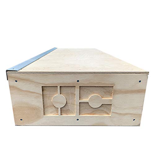 OC Ramps 4ft Grind Box