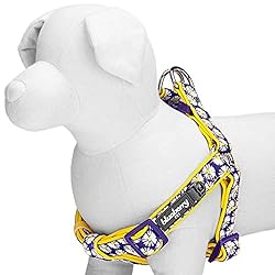 Blueberry Pet 2 Patterns Soft & Comfy Step-in