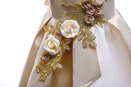 AYOMIS Girl Dress Princess Gowns Party Flower Christmas Wedding Dresses(Champagnge,5-6Y)