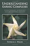 Understanding Karmic Complexes by Patricia L Walsh