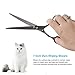 Ferbon 9 Pcs Dog Grooming Scissors Kits, 8 inches Pet Stainless Steel Curved, Straight, Thinning Shear Suit, Trimmer Kit with Dog Nail File, Clippers, Grooming Comb for Cat and Pet