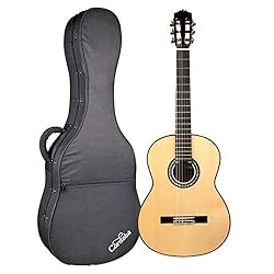 Cordoba F10 Acoustic Nylon String Flamenco Guitar