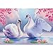 Diamond Painting Kits for Adults Full Drill,Handmade DIY 5D Paint with Diamonds by Number Kits,Diamond Art Home Decor Craft Perfect Gift, Swan,16X12 Inches