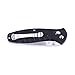 Knife F738 Firebird by Ganzo G738 Pocket Folding Hunting Knife G-10 Handle SS Blade (Black)