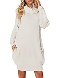 Simplee Women's Winter Warm Loose Turtleneck Oversized Pullover Sweater Dress