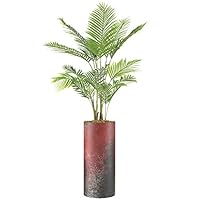 SIGNWIN Areca Palm Tree with White, Red, Black & White Paint Splatter Color Block Vase Abstract Rocky Minimalism Zen Dramatic Multicolor Dark for Living Room, Bedroom, Office - X-Large 5 Feet (60
