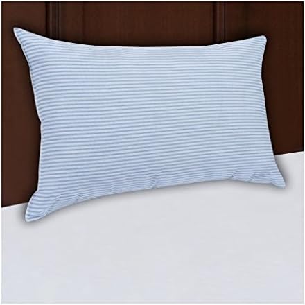 Amazon Com Mainstays Huge Pillow 20 X 28 In Blue And White