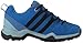 adidas outdoor Kids' Terrex Ax2r Cp K
