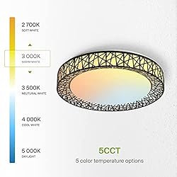 ASD 20 Inch LED Flush Mount Ceiling Light - Modern
