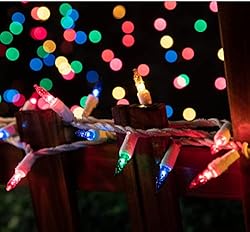 LAMPHOME Christmas String Light,100 Count