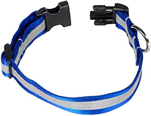 Petflect Reflective Adventure Play Collar, Royal Blue/Silver, Medium