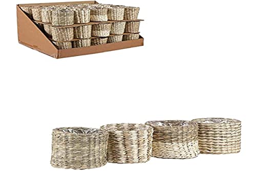 Alexis pot rotondo 4 assortito PDQ